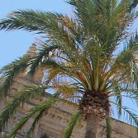 Esquelas en Almería